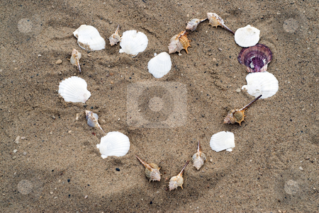 To use this stock image in your creative project, please select the size you need over to the right and click the "Add to Cart" button.
Your downloaded image will come with the Cutcaster watermark removed so don’t worry about the watermark you see on this page. Heart In The Sand stock photo, A heart shape in the sand, made from seashells by Richard Nelson
