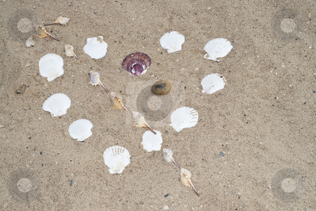 To use this stock image in your creative project, please select the size you need over to the right and click the "Add to Cart" button.
Your downloaded image will come with the Cutcaster watermark removed so don’t worry about the watermark you see on this page. Seashell Heart stock photo, A heart shape made with seashells on the beach by Richard Nelson