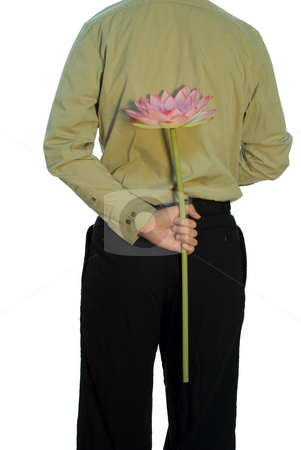 To use this stock image in your creative project, please select the size you need over to the right and click the "Add to Cart" button.
Your downloaded image will come with the Cutcaster watermark removed so don’t worry about the watermark you see on this page. Anniversary stock photo, A man standing with his back to the camera, holding a large flower behind his back by Richard Nelson