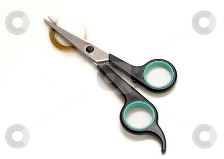 To use this stock image in your creative project, please select the size you need over to the right and click the "Add to Cart" button.
Your downloaded image will come with the Cutcaster watermark removed so don’t worry about the watermark you see on this page. Hair and Scissors stock photo, Hair scissors with lock of hair on white background by Anita Peppers