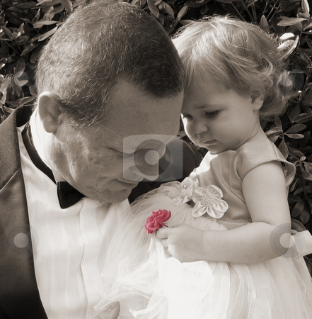 To use this stock image in your creative project, please select the size you need over to the right and click the "Add to Cart" button.
Your downloaded image will come with the Cutcaster watermark removed so don’t worry about the watermark you see on this page. Smelling the Roses stock photo, Man in tuxedo smells colorized rose held by flower girl by Anita Peppers