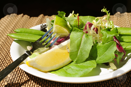 To use this stock image in your creative project, please select the size you need over to the right and click the "Add to Cart" button.
Your downloaded image will come with the Cutcaster watermark removed so don’t worry about the watermark you see on this page. Lite Salad And Designer Place mat stock photo, A Lite Salad with a mixture of greens, sugar snap peas, lemon and lime on a white salad plate and designer
place mat. by Lynn Bendickson