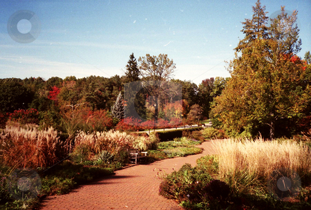 To use this stock image in your creative project, please select the size you need over to the right and click the "Add to Cart" button.
Your downloaded image will come with the Cutcaster watermark removed so don’t worry about the watermark you see on this page. Autumn Garden Path stock photo, An autumn garden path by Emma Moore