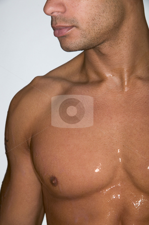 To use this stock image in your creative project, please select the size you need over to the right and click the "Add to Cart" button.
Your downloaded image will come with the Cutcaster watermark removed so don’t worry about the watermark you see on this page. MPIXIS641006 stock photo, Portrait of a muscular man by Mpixis World