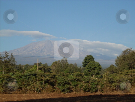 To use this stock image in your creative project, please select the size you need over to the right and click the "Add to Cart" button.
Your downloaded image will come with the Cutcaster watermark removed so don’t worry about the watermark you see on this page. Mt. Kilimanjaro stock photo, The beautiful but snowless Mt. Kilimanjaro at the Kenyan/Tanzanian border. by Rose Nthiwa