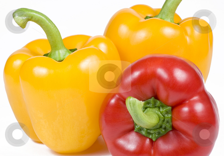 To use this stock image in your creative project, please select the size you need over to the right and click the "Add to Cart" button.
Your downloaded image will come with the Cutcaster watermark removed so don’t worry about the watermark you see on this page. Yellow and Red Bell Peppers stock photo, Yellow and red Bell Peppers on White Background by Mike Dykstra
