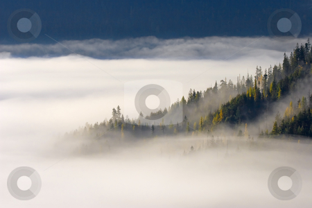 To use this stock image in your creative project, please select the size you need over to the right and click the "Add to Cart" button.
Your downloaded image will come with the Cutcaster watermark removed so don’t worry about the watermark you see on this page. Autumn Morn stock photo, Morning fog lies rises from the valley floor covering nearly, a couple of ridges dotted by golden larch trees emerge. by Mike Dawson