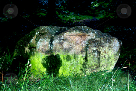 To use this stock image in your creative project, please select the size you need over to the right and click the "Add to Cart" button.
Your downloaded image will come with the Cutcaster watermark removed so don’t worry about the watermark you see on this page. Lichens stock photo, Landscape from Brittany; strange block of stone in the forest by Serge VILLA