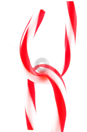 To use this stock image in your creative project, please select the size you need over to the right and click the "Add to Cart" button.
Your downloaded image will come with the Cutcaster watermark removed so don’t worry about the watermark you see on this page. Candy Canes interlocking stock photo, Candy canes ready for the holidays. by Robert Byron