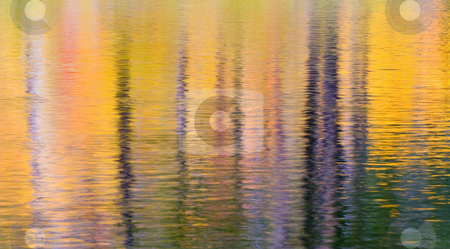 To use this stock image in your creative project, please select the size you need over to the right and click the "Add to Cart" button.
Your downloaded image will come with the Cutcaster watermark removed so don’t worry about the watermark you see on this page. Reflections of Fall stock photo, Fall leaves and color reflect on the rippled waters of the Wenatchee River. by Mike Dawson
