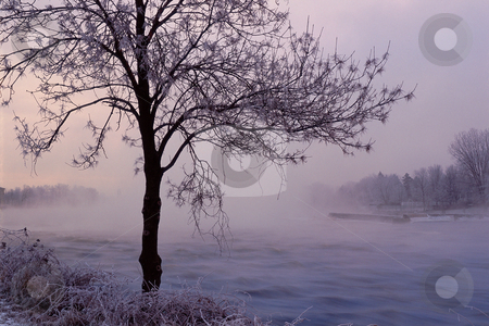 To use this stock image in your creative project, please select the size you need over to the right and click the "Add to Cart" button.
Your downloaded image will come with the Cutcaster watermark removed so don’t worry about the watermark you see on this page. MPIXIS250455 stock photo, Tree near misty river by Mpixis World