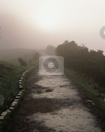 To use this stock image in your creative project, please select the size you need over to the right and click the "Add to Cart" button.
Your downloaded image will come with the Cutcaster watermark removed so don’t worry about the watermark you see on this page. MPIXIS250909 stock photo, Winter fog along a path edinburgh by Mpixis World