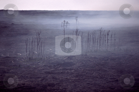 To use this stock image in your creative project, please select the size you need over to the right and click the "Add to Cart" button.
Your downloaded image will come with the Cutcaster watermark removed so don’t worry about the watermark you see on this page. MPIXIS250311 stock photo, Trees killed by lava flow by Mpixis World