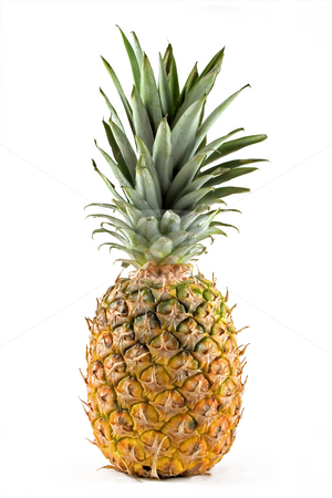 To use this stock image in your creative project, please select the size you need over to the right and click the "Add to Cart" button.
Your downloaded image will come with the Cutcaster watermark removed so don’t worry about the watermark you see on this page. Pineapple stock photo, Pineapple isolated on white by Paulo Resende