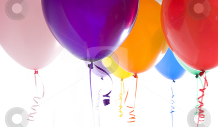 To use this stock image in your creative project, please select the size you need over to the right and click the "Add to Cart" button.
Your downloaded image will come with the Cutcaster watermark removed so don’t worry about the watermark you see on this page. Close Up of Variety of Balloons Brightly Lit stock photo, Close up of variety of balloons with ribbons brightly lit by Mike Dykstra