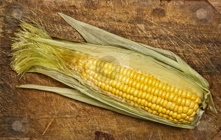 To use this stock image in your creative project, please select the size you need over to the right and click the "Add to Cart" button.
Your downloaded image will come with the Cutcaster watermark removed so don’t worry about the watermark you see on this page. Corn on the cob stock photo, Corn on the cob, isolated on wooden table. by Pablo Caridad