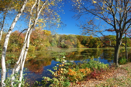 To use this stock image in your creative project, please select the size you need over to the right and click the "Add to Cart" button.
Your downloaded image will come with the Cutcaster watermark removed so don’t worry about the watermark you see on this page. Pond Scene stock photo, Fall pond scene by Bill Parmentier