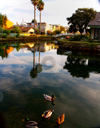 To use this stock image in your creative project, please select the size you need over to the right and click the "Add to Cart" button.
Your downloaded image will come with the Cutcaster watermark removed so don’t worry about the watermark you see on this page. Venice Beach Canal stock photo, by Timothy OLeary