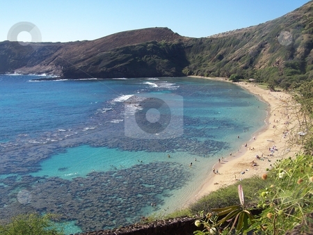 To use this stock image in your creative project, please select the size you need over to the right and click the "Add to Cart" button.
Your downloaded image will come with the Cutcaster watermark removed so don’t worry about the watermark you see on this page. Hanauma Bay, Oahu stock photo, Hanauma Bay: Beach and coral reef that formed inside of an extinct volcano by Peter Rolfe