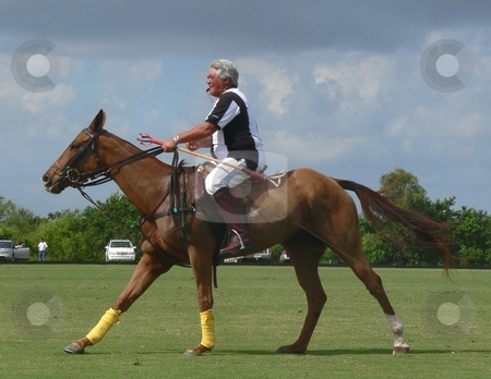 To use this stock image in your creative project, please select the size you need over to the right and click the "Add to Cart" button.
Your downloaded image will come with the Cutcaster watermark removed so don’t worry about the watermark you see on this page. Equestrian Polo Players stock photo, Editorial image of polo players during a match by Perry Correll