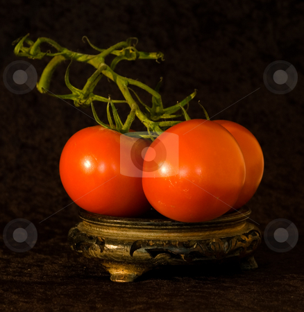 To use this stock image in your creative project, please select the size you need over to the right and click the "Add to Cart" button.
Your downloaded image will come with the Cutcaster watermark removed so don’t worry about the watermark you see on this page. TOMATOE PUREE stock photo, Trio of ripe RED TOMATOES classic wooden stand, with velvet background. by Elf Evans