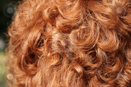 To use this stock image in your creative project, please select the size you need over to the right and click the "Add to Cart" button.
Your downloaded image will come with the Cutcaster watermark removed so don’t worry about the watermark you see on this page. Red head stock photo, Curley red hair of a woman by Paul Phillips