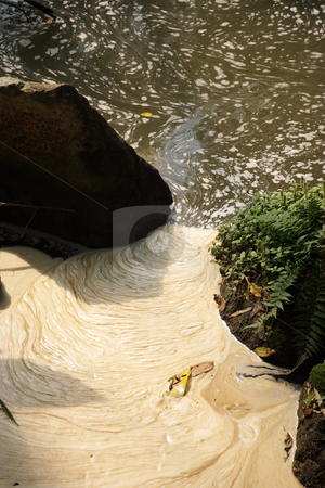 To use this stock image in your creative project, please select the size you need over to the right and click the "Add to Cart" button.
Your downloaded image will come with the Cutcaster watermark removed so don’t worry about the watermark you see on this page. Pollution stock photo, Pollution seeping into a stream by Paul Phillips