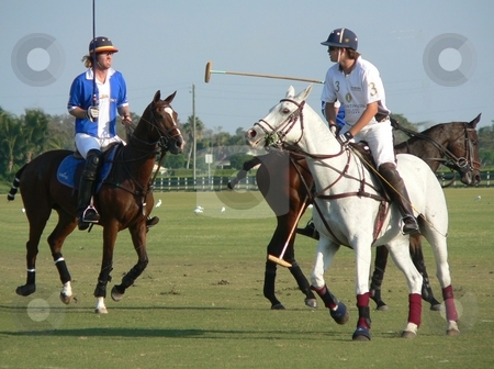 To use this stock image in your creative project, please select the size you need over to the right and click the "Add to Cart" button.
Your downloaded image will come with the Cutcaster watermark removed so don’t worry about the watermark you see on this page. Wellington Polo stock photo, Polo match in Wellington, FL 2007 by Perry Correll