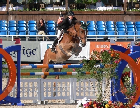 To use this stock image in your creative project, please select the size you need over to the right and click the "Add to Cart" button.
Your downloaded image will come with the Cutcaster watermark removed so don’t worry about the watermark you see on this page. Winter Equestrian Festival '07-'08 stock photo, Wellington Winter Equestrian Festival March 2008 by Perry Correll