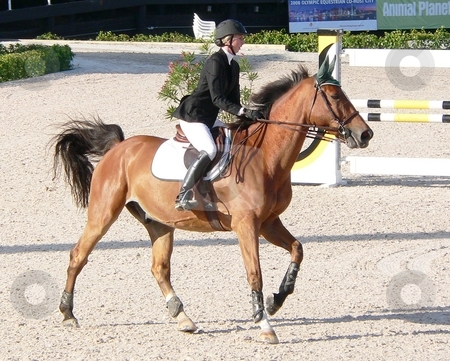 To use this stock image in your creative project, please select the size you need over to the right and click the "Add to Cart" button.
Your downloaded image will come with the Cutcaster watermark removed so don’t worry about the watermark you see on this page. Winter Equestrian Festival '07-'08 stock photo, Wellington Winter Equestrian Festival March 2008 by Perry Correll