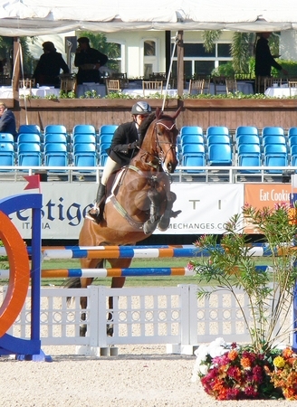 To use this stock image in your creative project, please select the size you need over to the right and click the "Add to Cart" button.
Your downloaded image will come with the Cutcaster watermark removed so don’t worry about the watermark you see on this page. Winter Equestrian Festival '07-'08 stock photo, Wellington Winter Equestrian Festival March 2008 by Perry Correll