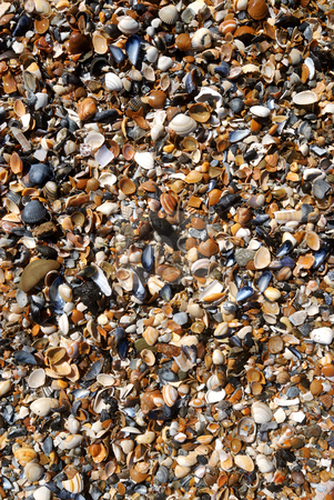 To use this stock image in your creative project, please select the size you need over to the right and click the "Add to Cart" button.
Your downloaded image will come with the Cutcaster watermark removed so don’t worry about the watermark you see on this page. Sand and shells on the beach stock photo, Details of wet clean beach. Texture of shells, sand and stones by Wino Evertz