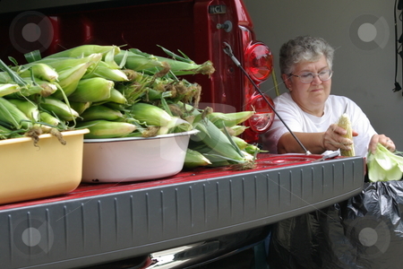 To use this stock image in your creative project, please select the size you need over to the right and click the "Add to Cart" button.
Your downloaded image will come with the Cutcaster watermark removed so don’t worry about the watermark you see on this page. Woman cleaning sweet corn stock photo, An Iowa woman cleans (shucks) the leaves off an ear of fresh sweet corn while sitting in her garage. More ears of sweet corn wait, their turn on the end of her pickup, by Dennis Thomsen