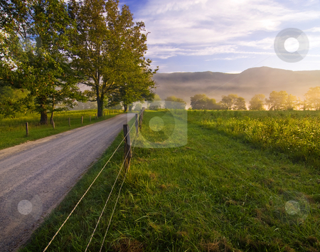 To use this stock image in your creative project, please select the size you need over to the right and click the "Add to Cart" button.
Your downloaded image will come with the Cutcaster watermark removed so don’t worry about the watermark you see on this page. Morning on Sparks Lane stock photo, An August shot taken on one of the rare cool mornings in Cades Cove in mid-August. A truly beautiful morning. by Greg Hutson