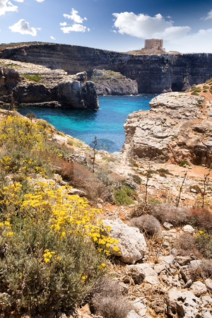 To use this stock image in your creative project, please select the size you need over to the right and click the "Add to Cart" button.
Your downloaded image will come with the Cutcaster watermark removed so don’t worry about the watermark you see on this page. Malta Landscape stock photo, Comino island landscape with by Tyler Olson