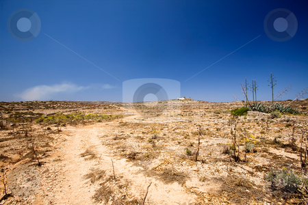 To use this stock image in your creative project, please select the size you need over to the right and click the "Add to Cart" button.
Your downloaded image will come with the Cutcaster watermark removed so don’t worry about the watermark you see on this page. Desert stock photo, A very dry desert landscape, comino malta by Tyler Olson