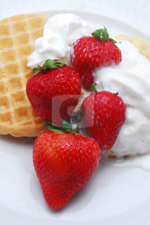 To use this stock image in your creative project, please select the size you need over to the right and click the "Add to Cart" button.
Your downloaded image will come with the Cutcaster watermark removed so don’t worry about the watermark you see on this page. Waffles and Strawberries stock photo, Waffles and strawberries in the morning. by Timothy OLeary