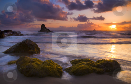 To use this stock image in your creative project, please select the size you need over to the right and click the "Add to Cart" button.
Your downloaded image will come with the Cutcaster watermark removed so don’t worry about the watermark you see on this page. Golden Tides stock photo, Seaweed cast upon some boulders along Indian beach and illuminated by the light of the setting Sun by Mike Dawson