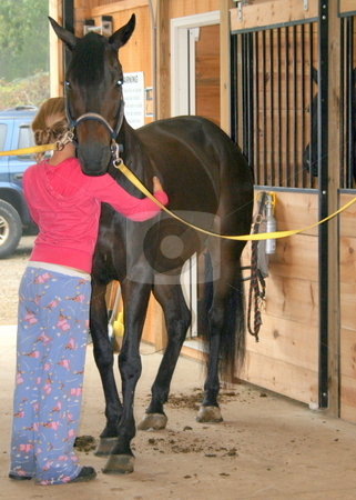 To use this stock image in your creative project, please select the size you need over to the right and click the "Add to Cart" button.
Your downloaded image will come with the Cutcaster watermark removed so don’t worry about the watermark you see on this page. Love My Horse stock photo, Just before the horse show, a young lady hugs her horse while preparing him for show by Tom and Beth Pulsipher