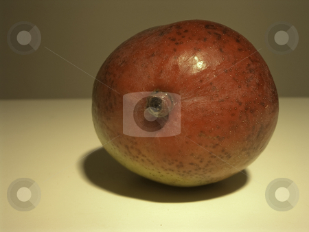 To use this stock image in your creative project, please select the size you need over to the right and click the "Add to Cart" button.
Your downloaded image will come with the Cutcaster watermark removed so don’t worry about the watermark you see on this page. Mango-002 stock photo, Mango by Creative Shield