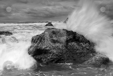 To use this stock image in your creative project, please select the size you need over to the right and click the "Add to Cart" button.
Your downloaded image will come with the Cutcaster watermark removed so don’t worry about the watermark you see on this page. Too Close for Comfort stock photo, The Rocky coast of Ecola Beach State Park. After picking my way around the headlands to this spot on a boulder I realzed that I was just a bit too close and got a bit wet getting this shot. by Mike Dawson