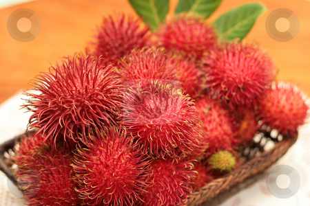 To use this stock image in your creative project, please select the size you need over to the right and click the "Add to Cart" button.
Your downloaded image will come with the Cutcaster watermark removed so don’t worry about the watermark you see on this page. Rambutan fruits stock photo, A tray of red hairy rambutan fruits by Jonas Marcos San Luis