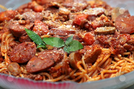 To use this stock image in your creative project, please select the size you need over to the right and click the "Add to Cart" button.
Your downloaded image will come with the Cutcaster watermark removed so don’t worry about the watermark you see on this page. Spaghetti pasta stock photo, Close up of a spaghetti sausage pasta by Jonas Marcos San Luis