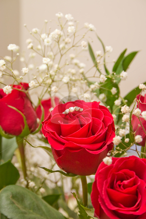 To use this stock image in your creative project, please select the size you need over to the right and click the "Add to Cart" button.
Your downloaded image will come with the Cutcaster watermark removed so don’t worry about the watermark you see on this page. Ring In The Rose stock photo, Bouquet of red roses for someone special by Johan Knelsen
