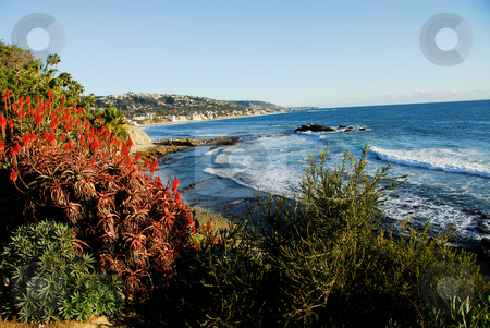 To use this stock image in your creative project, please select the size you need over to the right and click the "Add to Cart" button.
Your downloaded image will come with the Cutcaster watermark removed so don’t worry about the watermark you see on this page. Laguna Beach Scenic stock photo, by Timothy OLeary