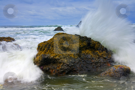To use this stock image in your creative project, please select the size you need over to the right and click the "Add to Cart" button.
Your downloaded image will come with the Cutcaster watermark removed so don’t worry about the watermark you see on this page. Too Close for Comfort stock photo, The Rocky coast of Ecola Beach State Park. After picking my way around the headlands to this spot on a boulder I realzed that I was just a bit too close and got a bit wet getting this shot. by Mike Dawson