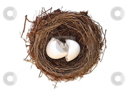 To use this stock image in your creative project, please select the size you need over to the right and click the "Add to Cart" button.
Your downloaded image will come with the Cutcaster watermark removed so don’t worry about the watermark you see on this page. Birthday stock photo, Broken empty egg in nest isolated over white by Julija Sapic
