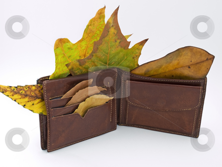 To use this stock image in your creative project, please select the size you need over to the right and click the "Add to Cart" button.
Your downloaded image will come with the Cutcaster watermark removed so don’t worry about the watermark you see on this page. Wallet in the Autumn stock photo, Metaphor about man without job after economy crises and his wallet in the fall. by Sinisa Botas