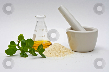 To use this stock image in your creative project, please select the size you need over to the right and click the "Add to Cart" button.
Your downloaded image will come with the Cutcaster watermark removed so don’t worry about the watermark you see on this page. Pure chemistry stock photo, A yellow liquid in a flask with a powder and some leaves in front and a white mortar on a white background by Paul Hakimata