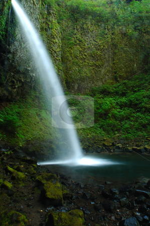 To use this stock image in your creative project, please select the size you need over to the right and click the "Add to Cart" button.
Your downloaded image will come with the Cutcaster watermark removed so don’t worry about the watermark you see on this page. Pony tail falls stock photo, Upper horse-tail falls in the Columbia gorge. by Nilanjan Bhattacharya